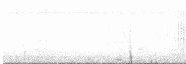 Graustirn-Dickichtschlüpfer - ML615403896