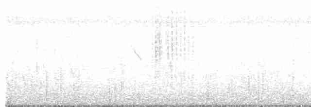 Graustirn-Dickichtschlüpfer - ML615403897