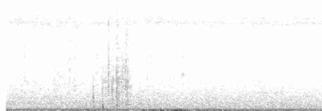 Graustirn-Dickichtschlüpfer - ML615403898