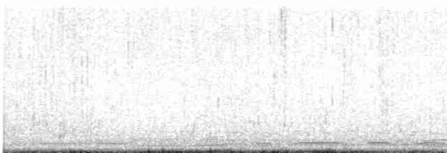 Cygne siffleur - ML615404716
