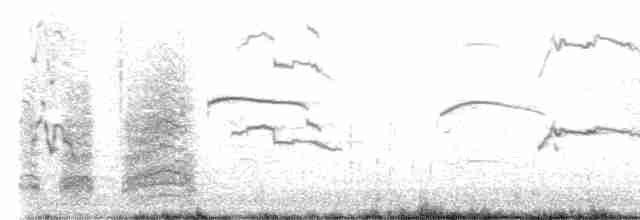 Магелланова чайка - ML615405015
