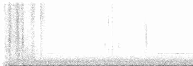Troglodyte des forêts - ML615410214