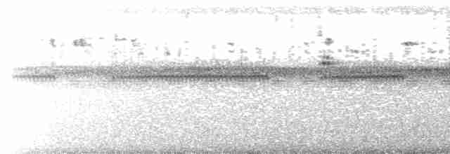 Bartnachtschwalbe - ML615410236
