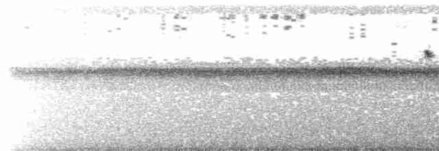 Ночнар білогорлий - ML615411922