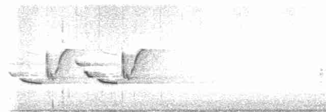 Поплітник каролінський - ML615412511