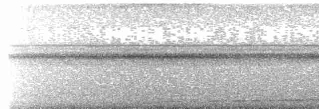 White-throated Nightjar - ML615414672