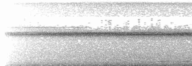 White-throated Nightjar - ML615414674