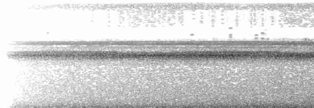 White-throated Nightjar - ML615414675