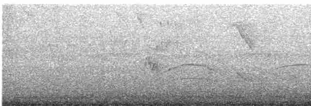 Пурпурногорлая эуфония - ML615415602