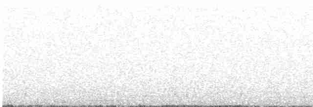 hvithalesvømmesnipe - ML615416396