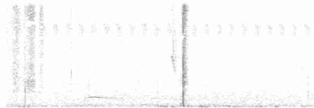 holoubek mexický - ML61541821