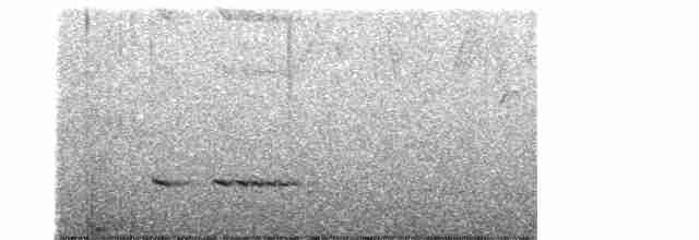 Мурашниця екваторіальна - ML615419067