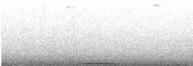 holub bledolící - ML615426562