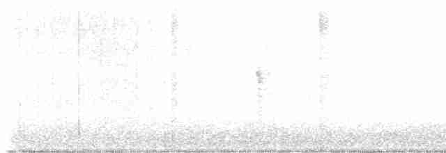 Серогрудый трескун - ML615427264