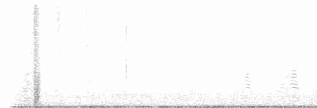 Ibis de Ridgway - ML615429520