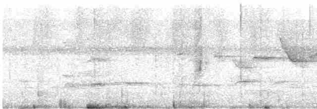 arassari hnědouchý - ML615430601
