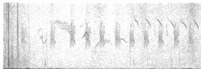 Grass Wren (Puna) - ML615432300