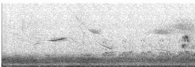 Dot-winged Crake - ML615432477