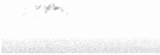 Желтоголовый королёк (teneriffae) - ML615432683
