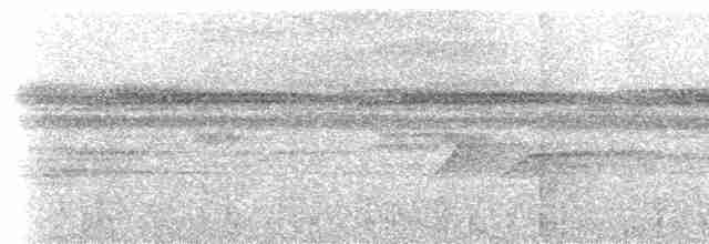 Толстоклювый мечник [группа promeropirhynchus] - ML615432839