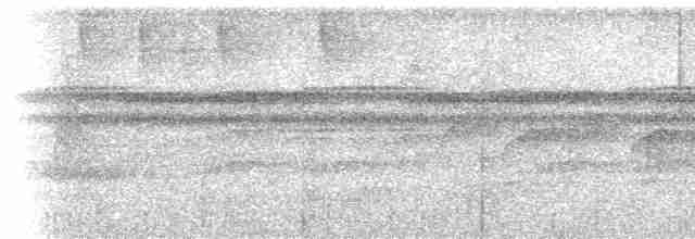 Ockerflecken-Ameisenwächter - ML615432984