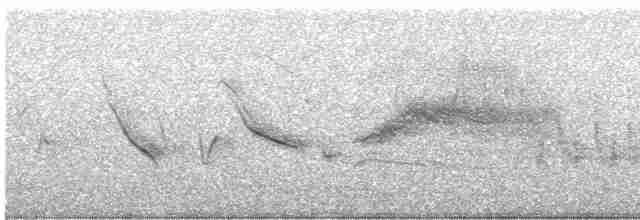 Long-tailed Meadowlark - ML615433749