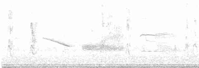 Long-tailed Meadowlark - ML615434028