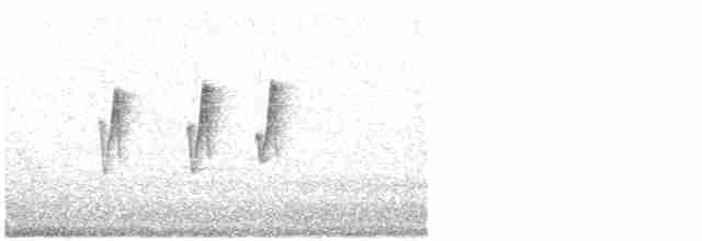 עלווית חורף קנרית - ML615435254
