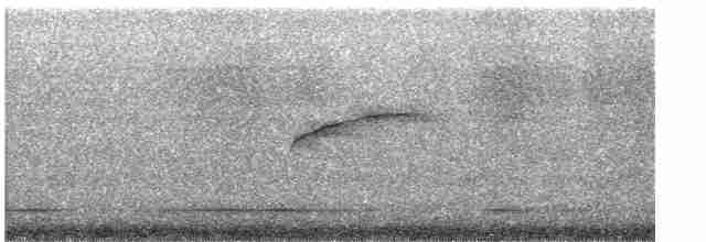 Патагонский мухолов - ML615435507