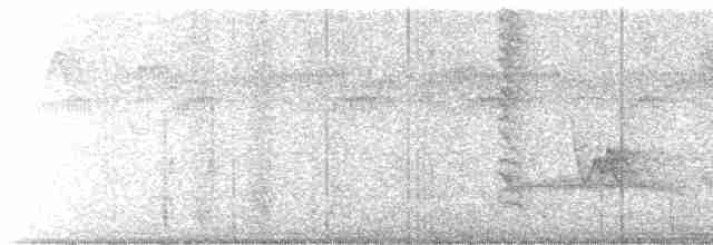 Chivi Vireo - ML615436512