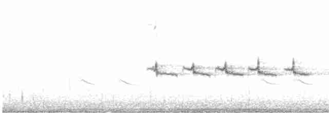 Kaya Çıtkuşu [obsoletus grubu] - ML615436960