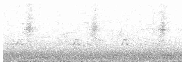 Graustirn-Dickichtschlüpfer - ML615439768
