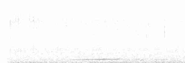 blåkronedue - ML615442544