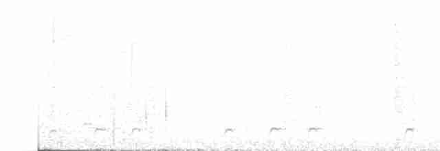 Ekvatoryal Yerçavuşu - ML615443894