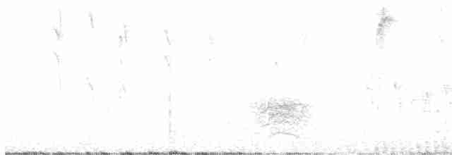 Braunbauchkotinga - ML615445301