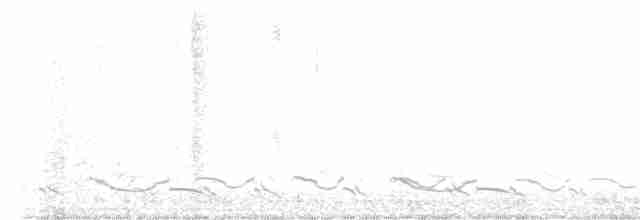 Puna Tinamou - ML615446063