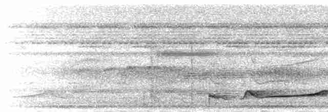 Silky-tailed Nightjar - ML615446349