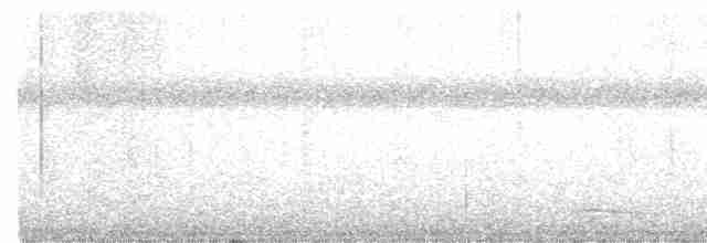 Trogon rosalba - ML615446812