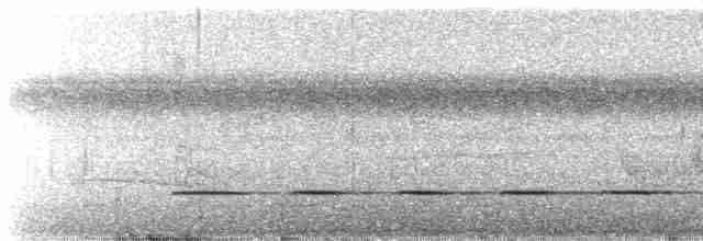 Тиран-крихітка юнгаський - ML615447782
