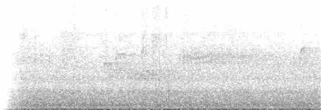 Дроздовый певун - ML61544891