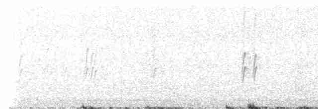 סנונית רפתות - ML615454076