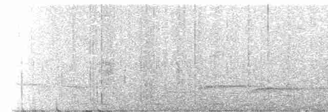 Чагарниця смугастовола - ML615454802