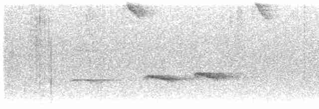 Kundinamarka Yerçavuşu - ML615456854