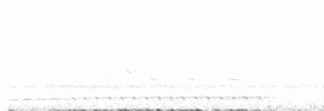 White-throated Nightjar - ML615456881