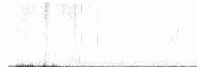 Fichtenzeisig (pinus/macropterus) - ML615458252