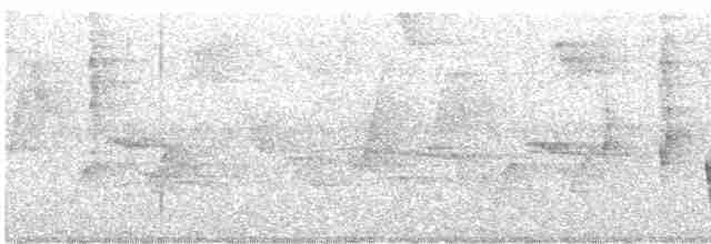 Поплітник плямистий - ML615460144