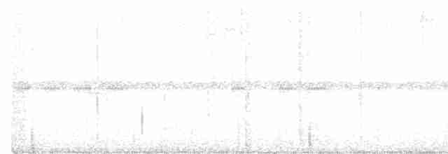 momot širokozobý - ML615462402