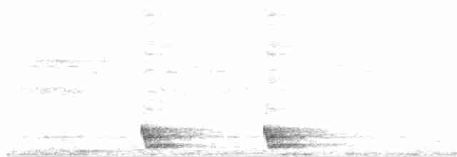 Large-tailed Nightjar - ML615462849