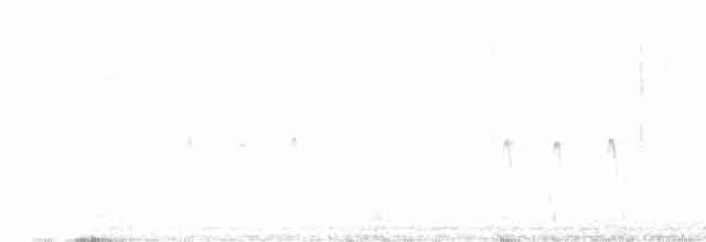 "Шишкар ялиновий (Northeastern, або тип 12)" - ML615466231