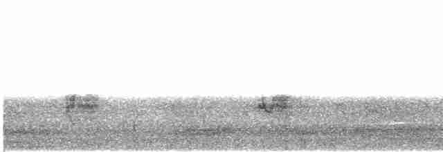 Lesser Gray Shrike - ML615466938